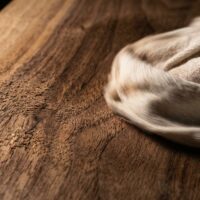Holzdübel Verbindung – HOLZMANUFAKTUR Brunner Ostschweiz